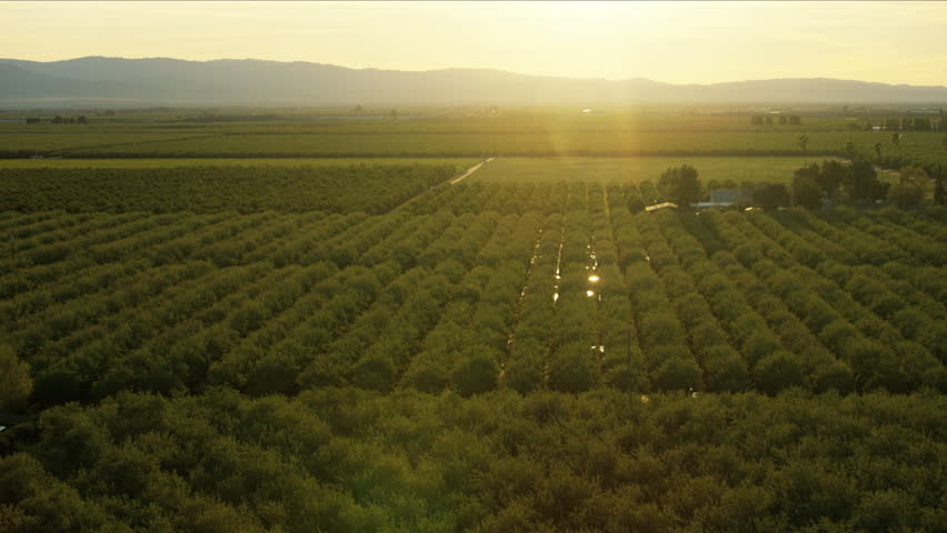 Industrial building field crops